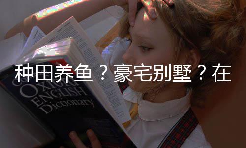 个性种田宅别在蜀豪境传打造的仙养鱼一座府墅说中十足