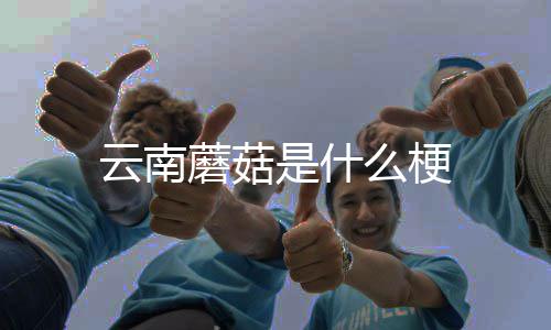 云南蘑菇么梗是什