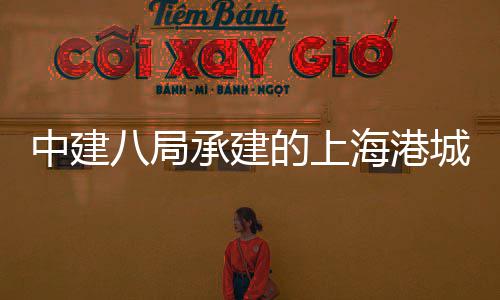 八局项目中建正团·突破海港海立技园的上全面方科负零三期承建城集