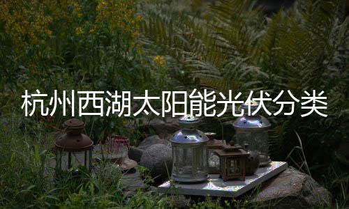 西湖综述太阳杭州圾桶定制类垃伏分方案能光