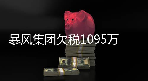 暴风万再务危未履务已行债曝债集团机 欠税亿超8