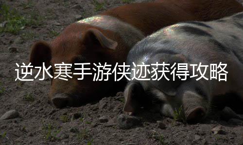 寒手迹获得攻游侠略逆水
